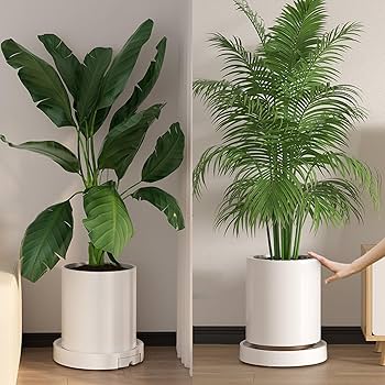 17世紀　ベンチャロン　台鉢　幅約25㎝　トカト　東さ6-0608② Serpentine stoolGarden stool – Time & Style